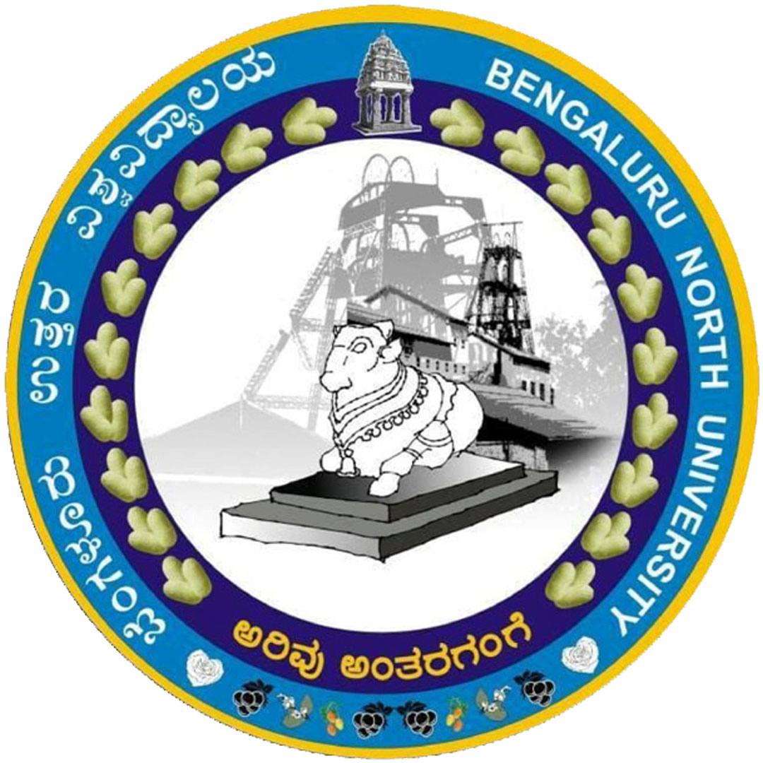 Universidad del Norte de Bengaluru Clasificación 2025