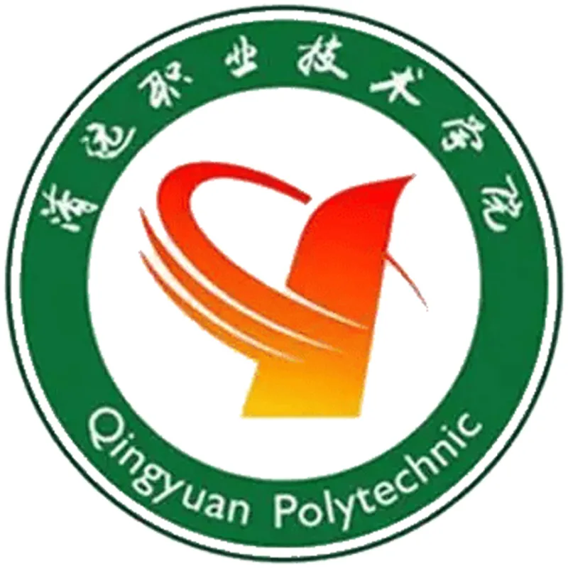 Politécnico de Qingyuan Clasificación 2026