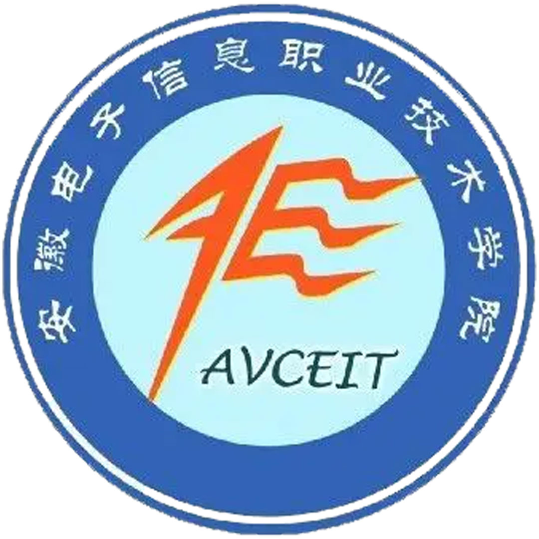 安徽电子信息职业技术学院 Clasificación 2025