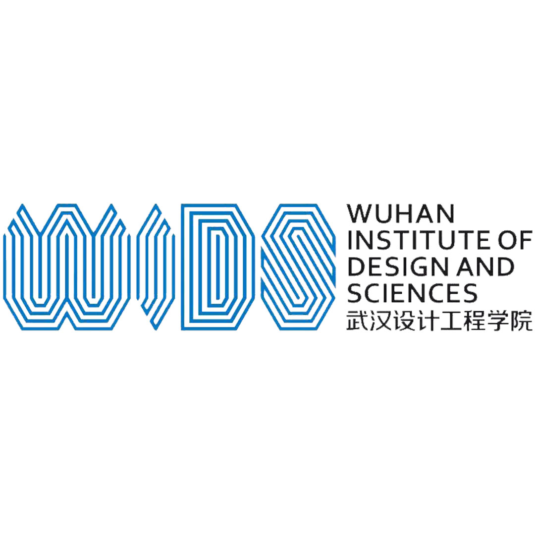 Instituto de Diseño e Ingeniería de Wuhan Clasificación 2025