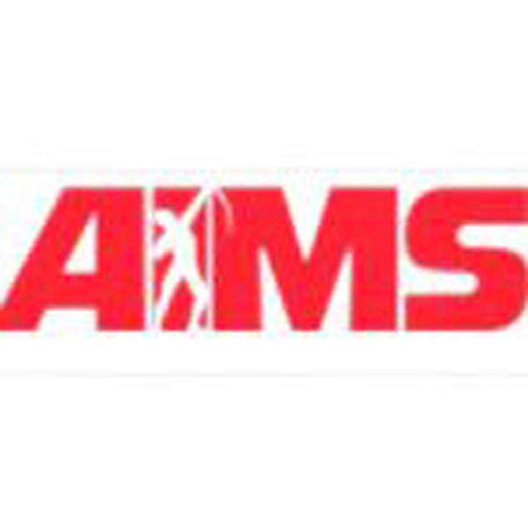 Instituto Allied de Estudios de Gestión Clasificación 2025