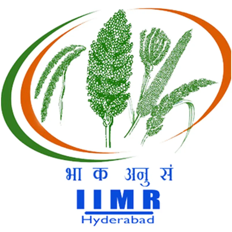 Instituto Indio de Investigación en Mijo IIMR Clasificación 2026