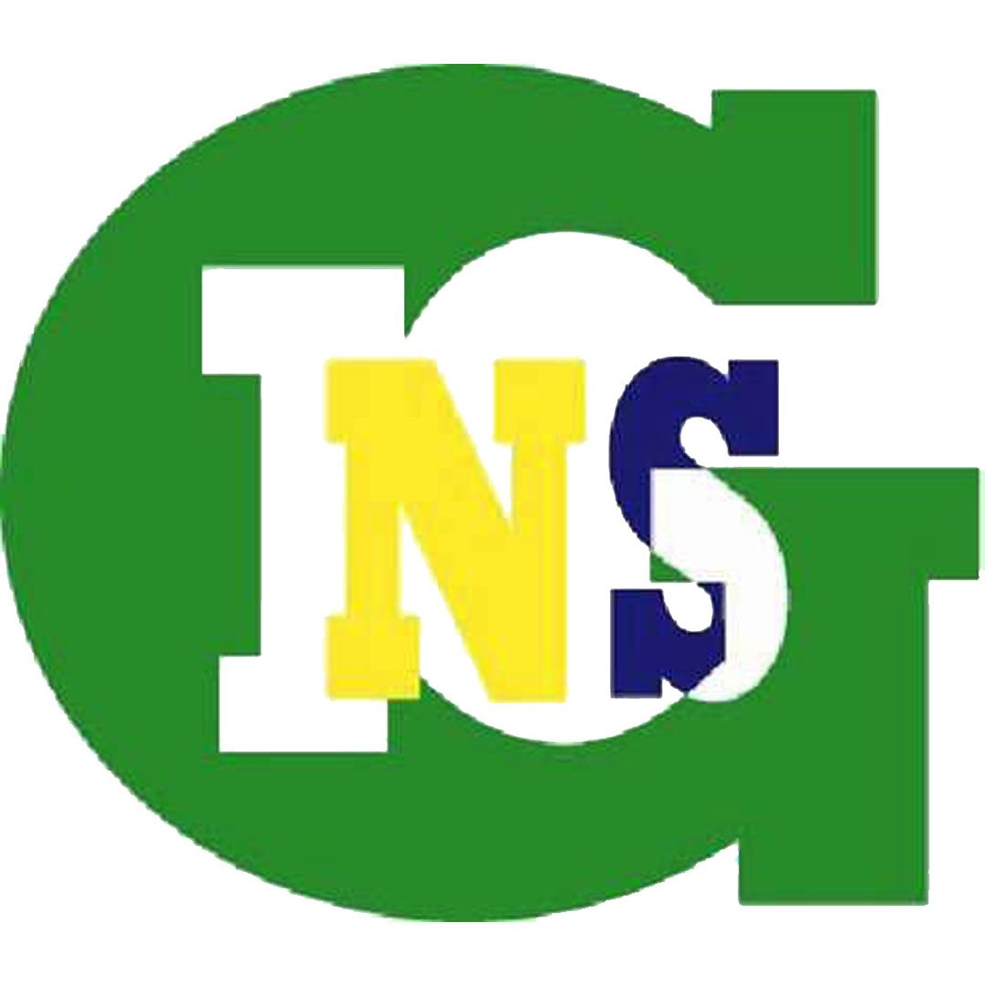 Instituto Nacional de Ciencias de la Gestión de Gabón Clasificación 2025