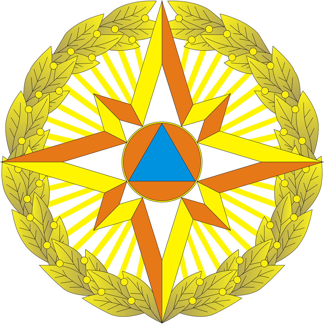 Academia del Ministerio de Situaciones de Emergencia Clasificación 2025