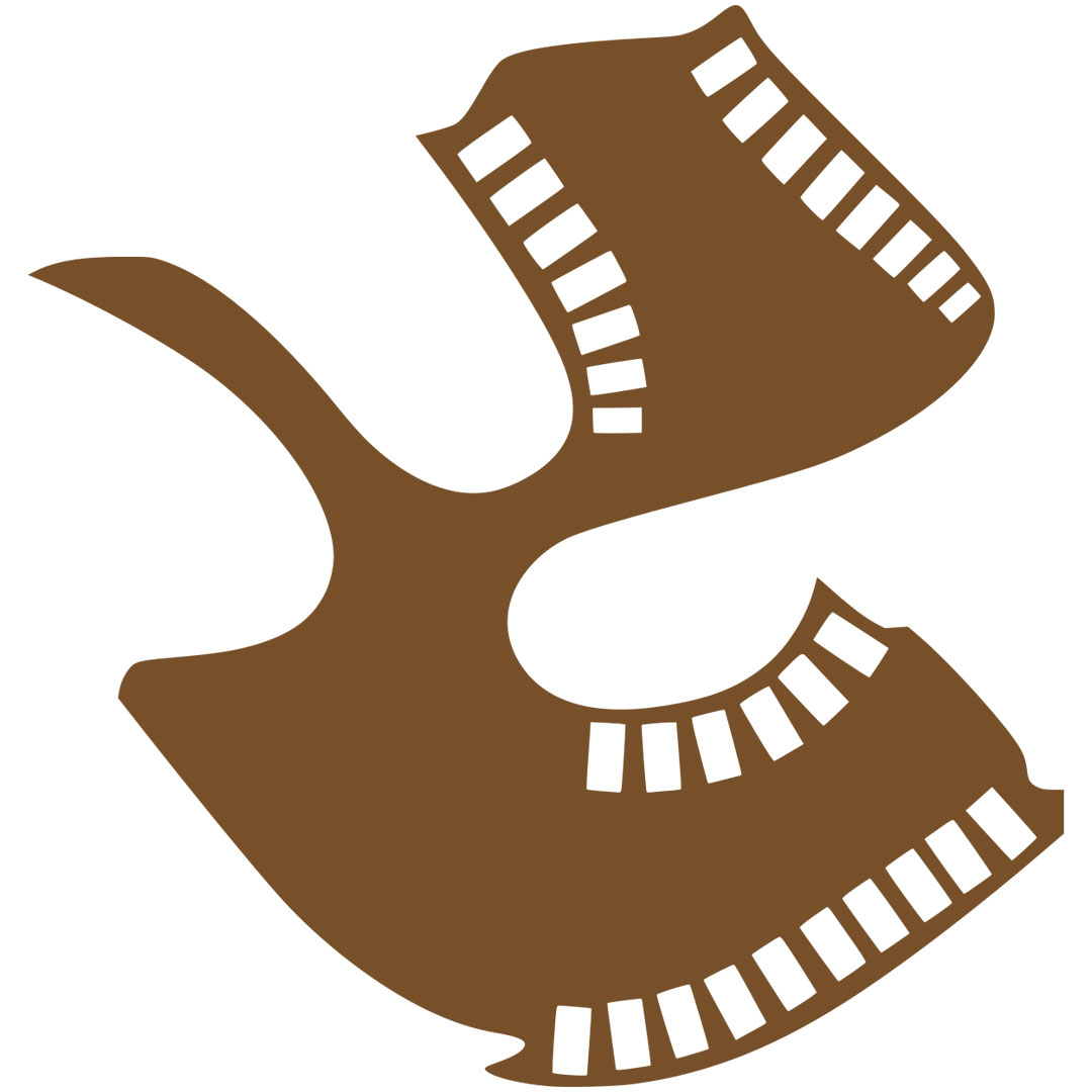 Instituto de Cine y Televisión Satyajit Ray Clasificación 2025