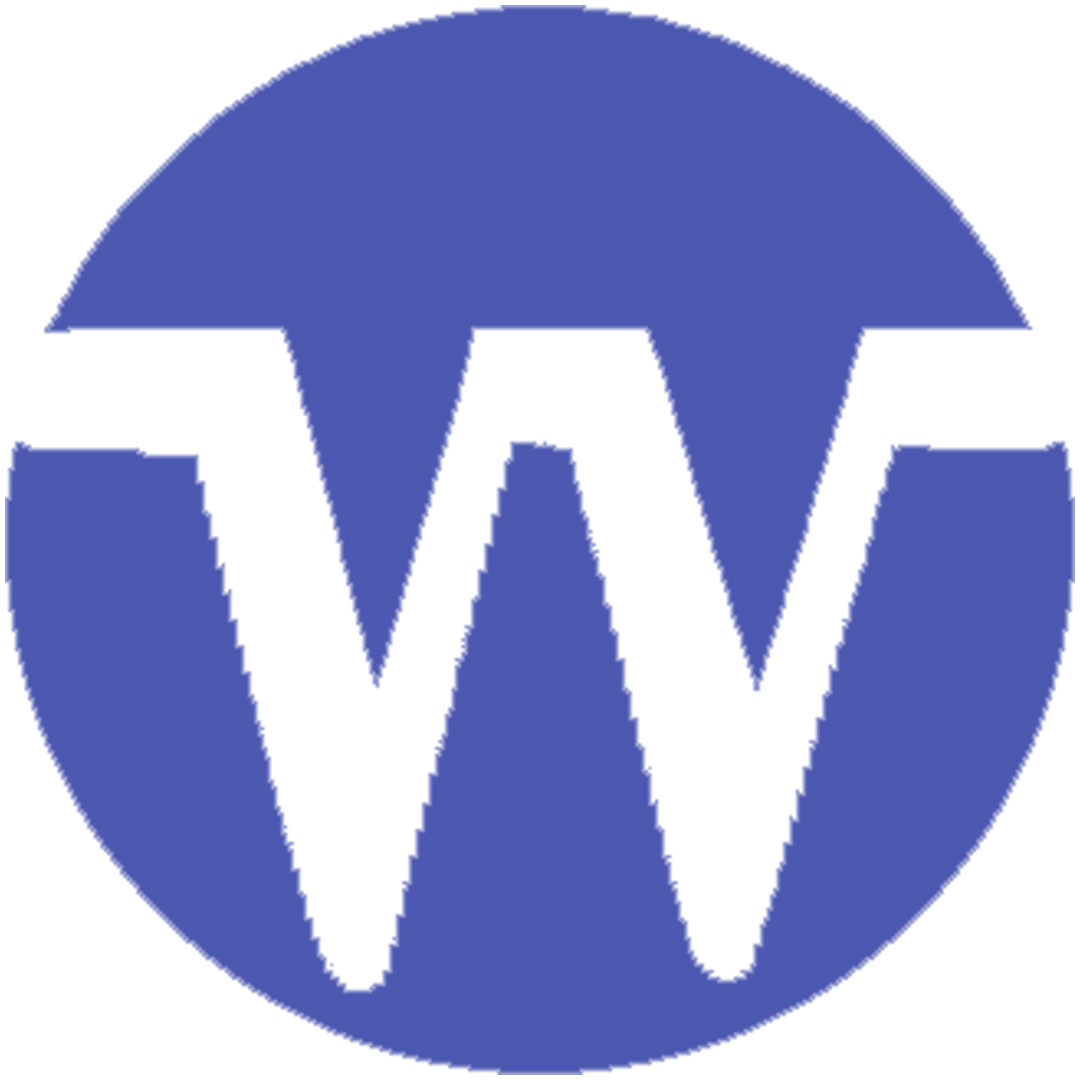 Instituto Watumull de Ingeniería Electrónica y Tecnología Informática Clasificación 2025