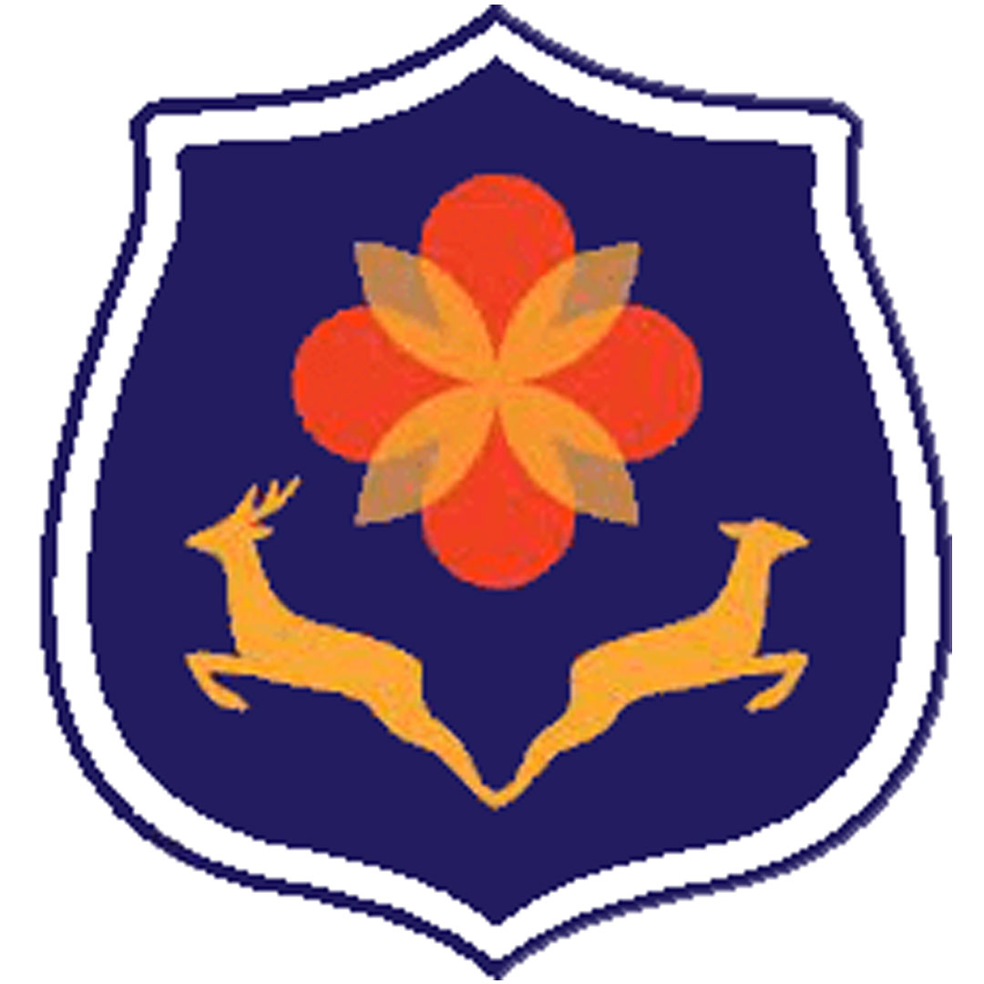 Colegio de Wuhan Clasificación 2025