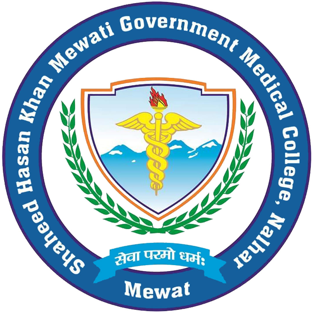 Facultad de Medicina Gubernamental SHKM de Nalhar Mewat Clasificación 2025
