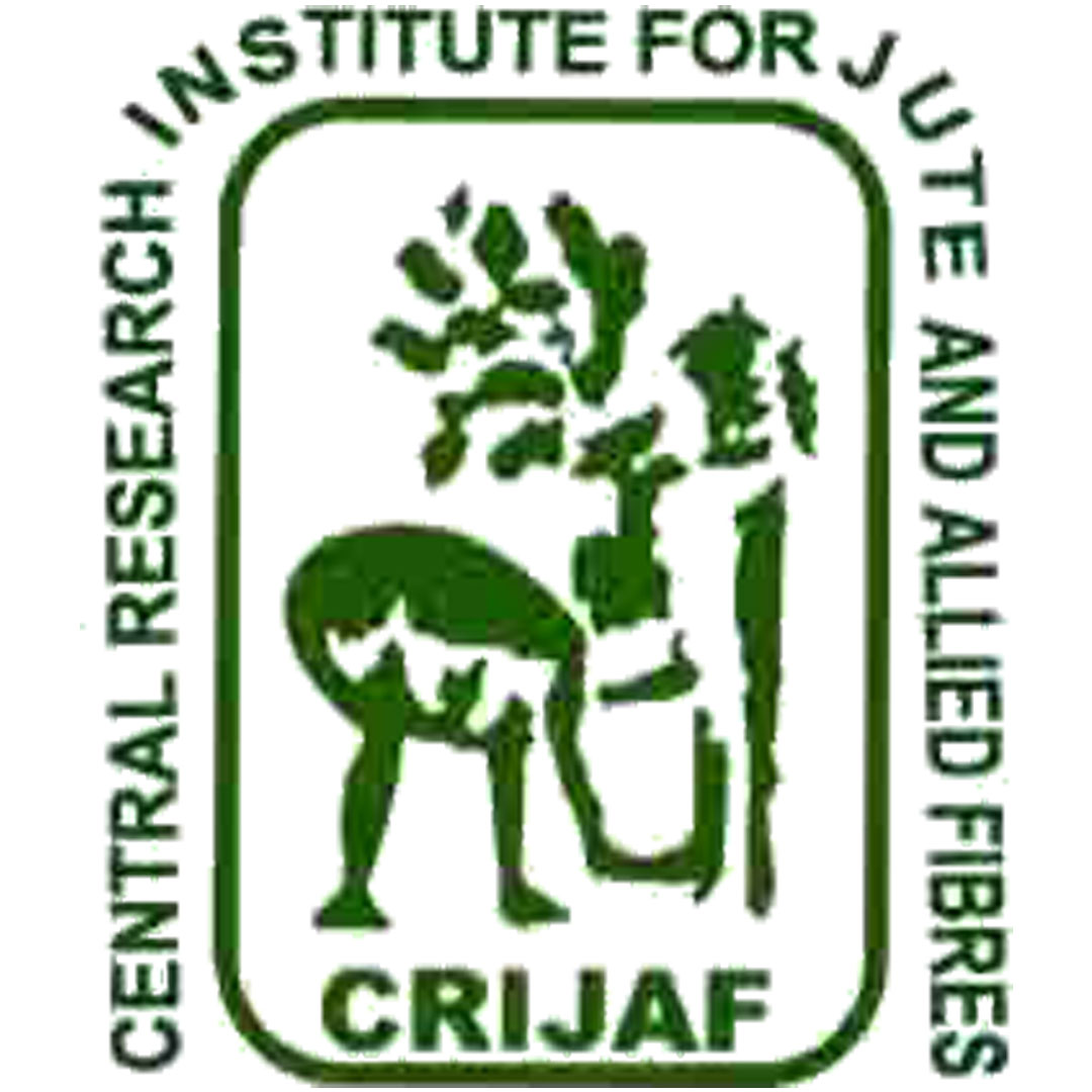 Instituto Central de Investigación para el Yute y Fibras Afines Clasificación 2025