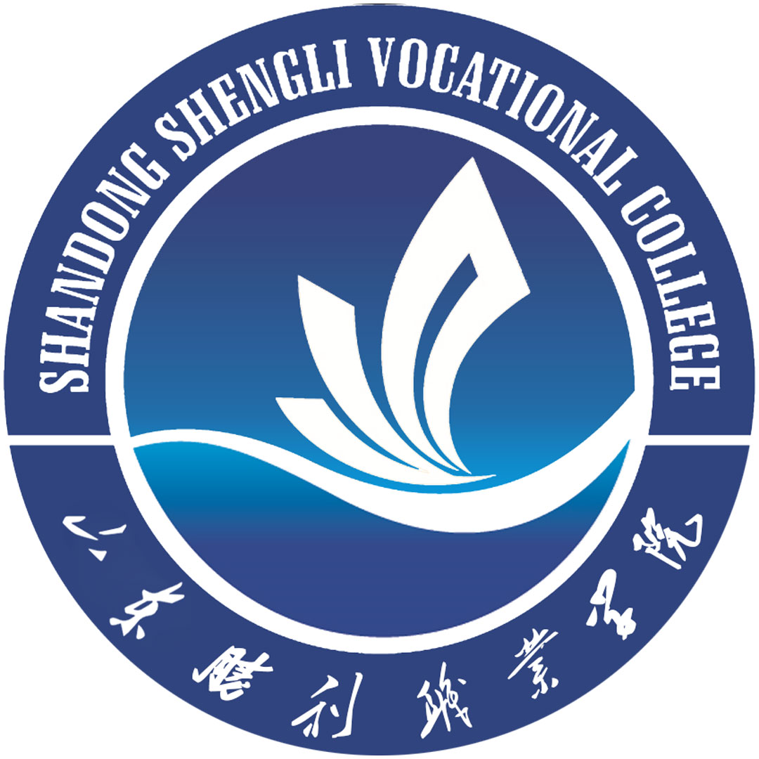 Colegio Vocacional Shengli de Shandong Clasificación 2025