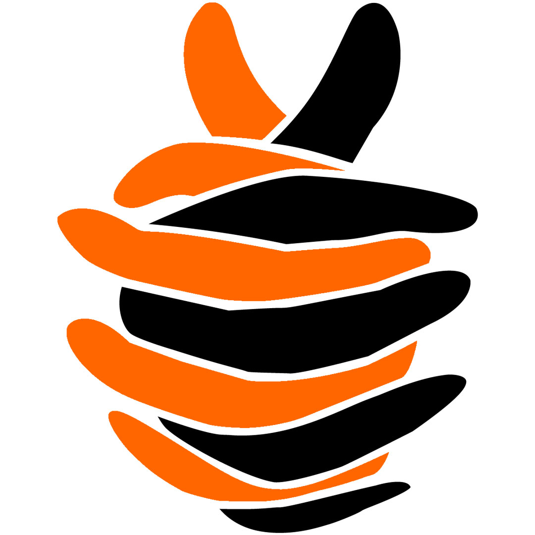 Colegio Marian Kuttikkanam Clasificación 2025