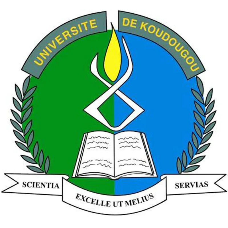 Universidad de Koudougou Clasificación 2026