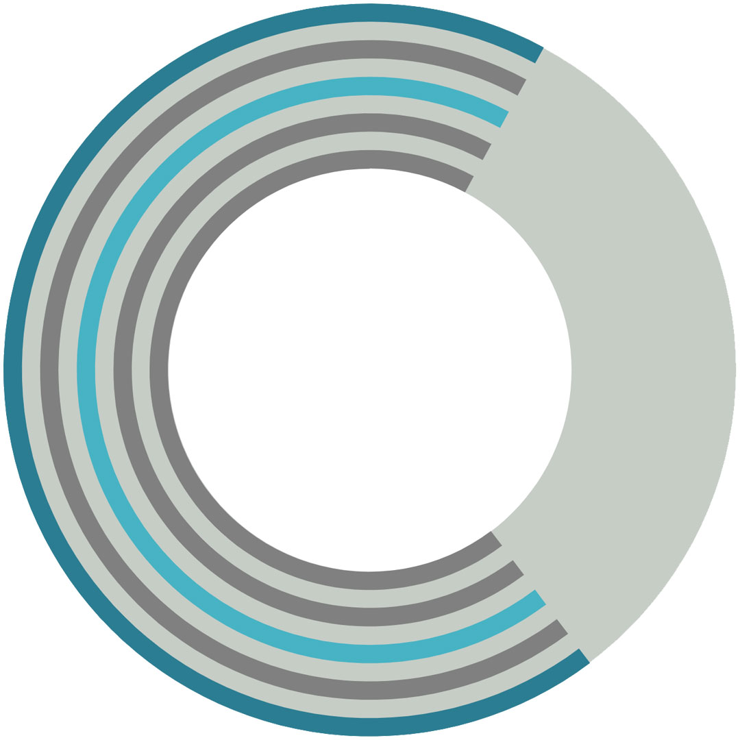 Centro de Investigación en Derecho y Políticas Clasificación 2025