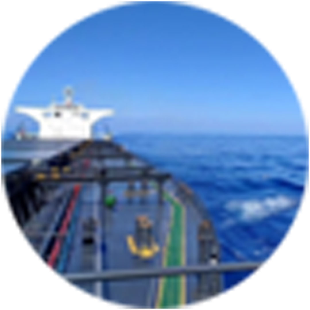 Instituto Profesional y Técnico Marítimo de Wuhan Clasificación 2025