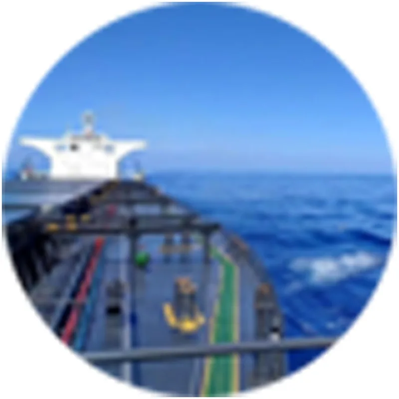 Instituto Profesional y Técnico Marítimo de Wuhan Clasificación 2026