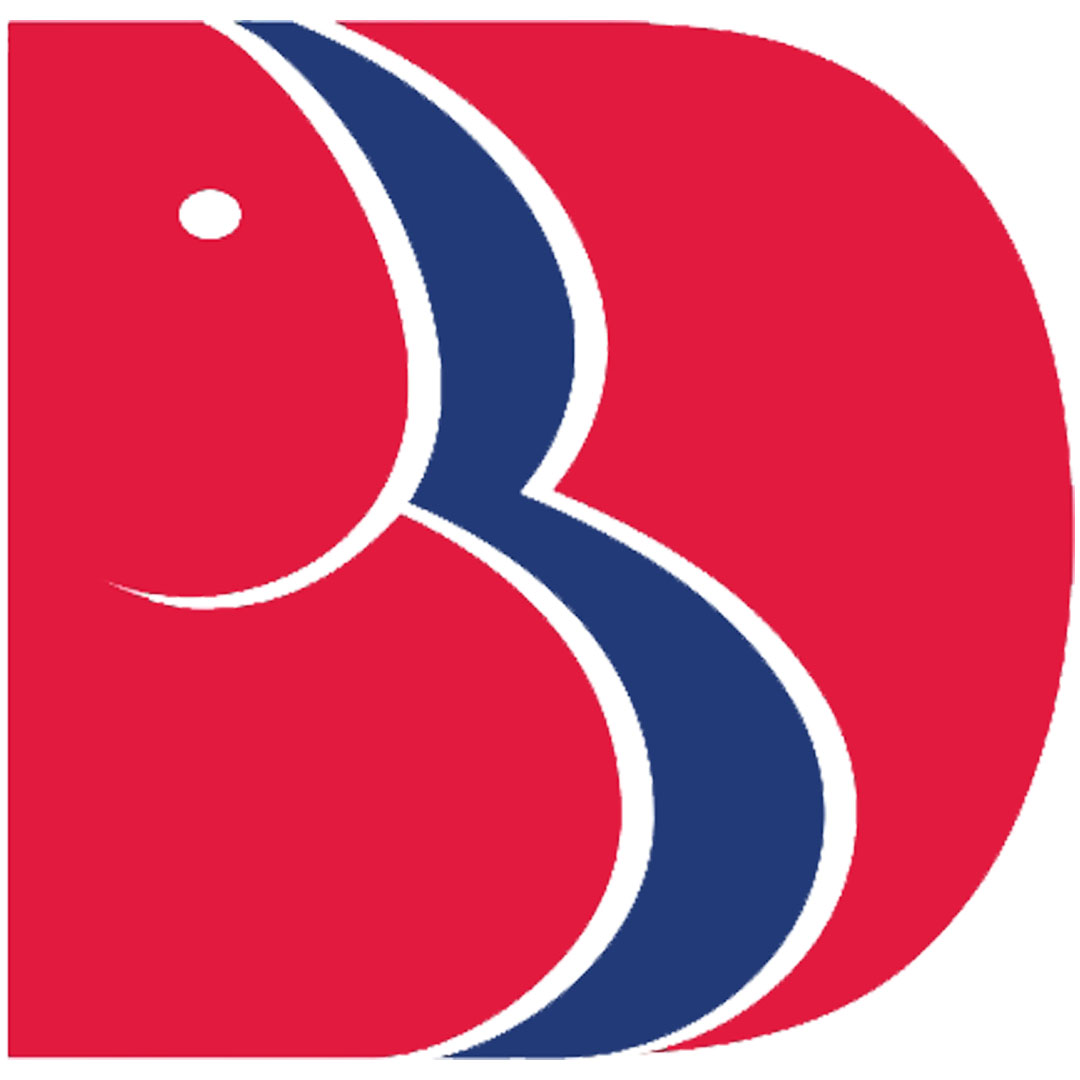 Instituto Nacional de Tecnología y Gestión Babu Banarasi Das Clasificación 2025