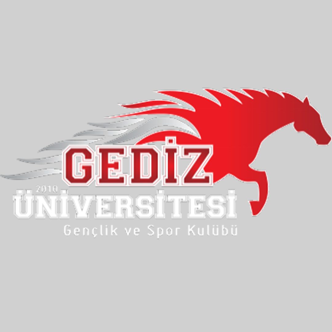 Universidad de Gediz Clasificación 2025