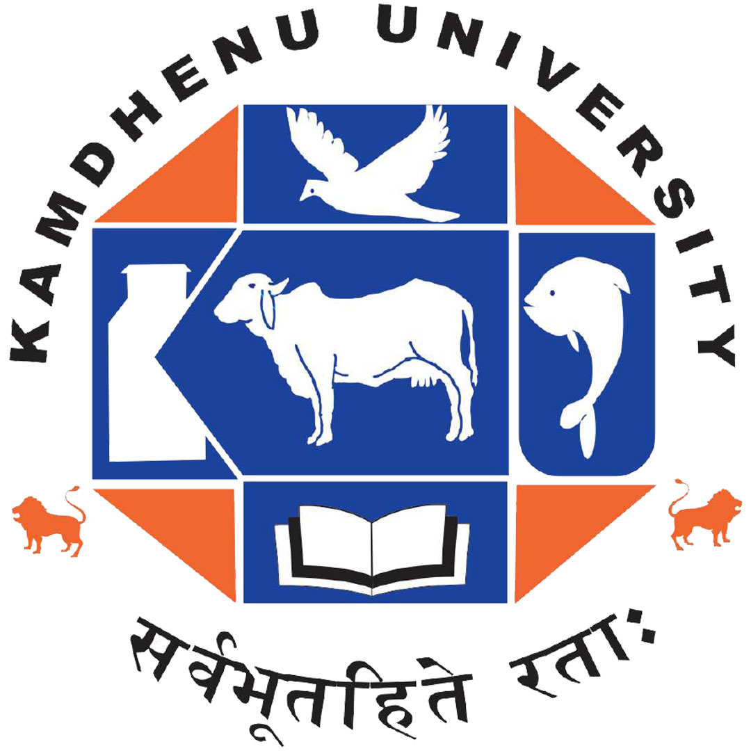Universidad Kamdhenu de Gandhinagar Clasificación 2025