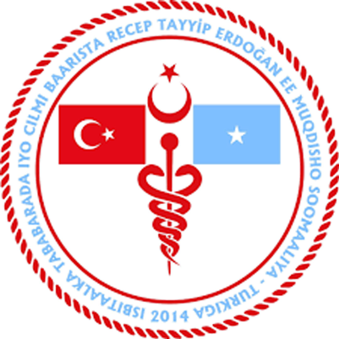 Hospital de Formación e Investigación Somalia Turquía Clasificación 2025