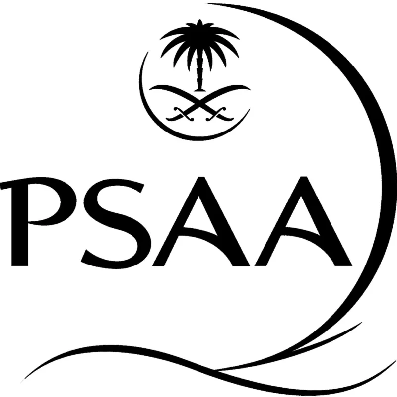 Academia de Aviación Prince Sultan Clasificación 2026