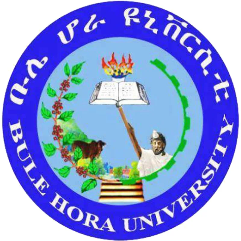 Université Bule Hora Classement 2026