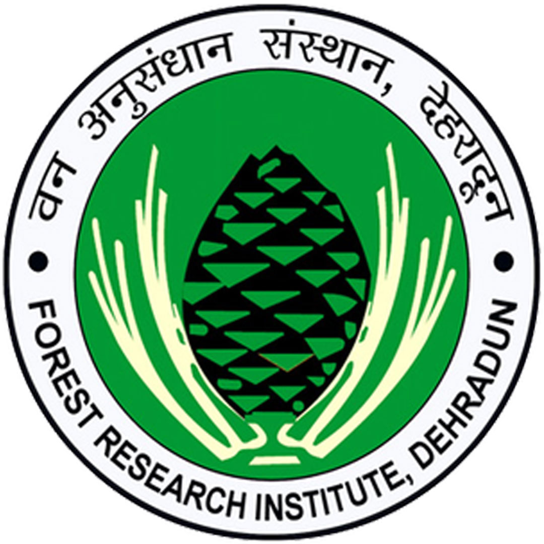 Instituto de Investigación Forestal de Dehradun Clasificación 2025