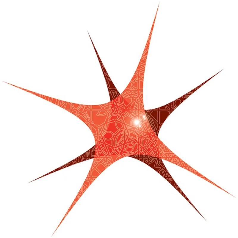 Polytechnique de Bahreïn Classement 2026