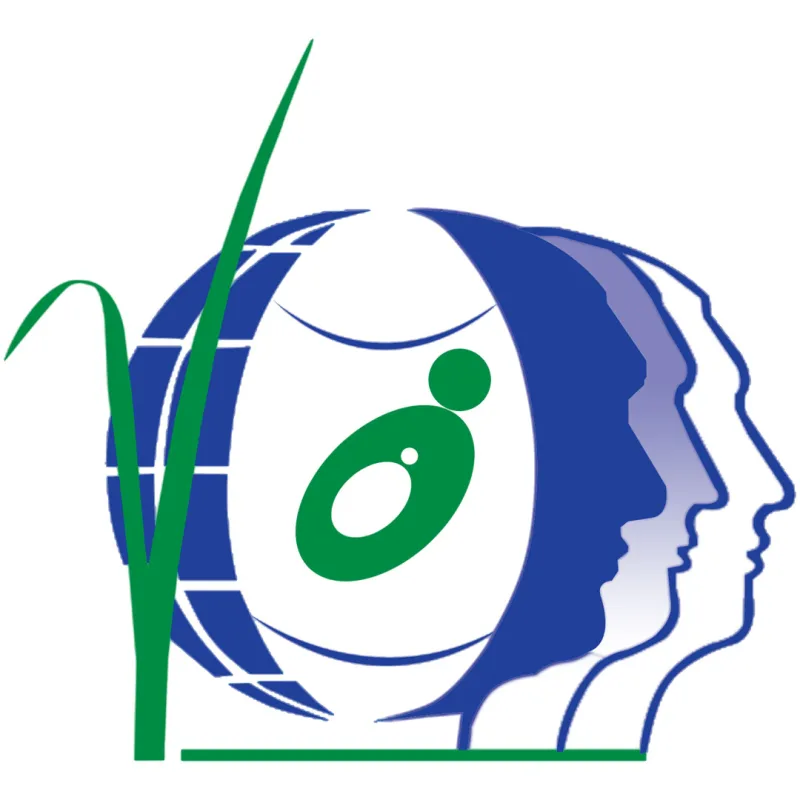 Academia Tata Dhan Clasificación 2026