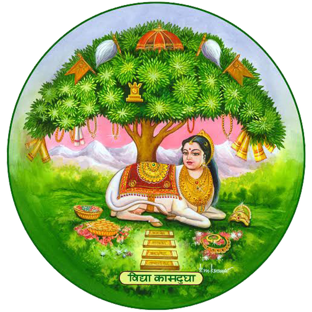 Colegio Canara Clasificación 2025 Colegio Canara Clasificación 2025