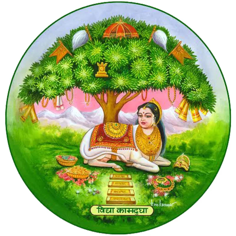 Colegio Canara Clasificación 2026