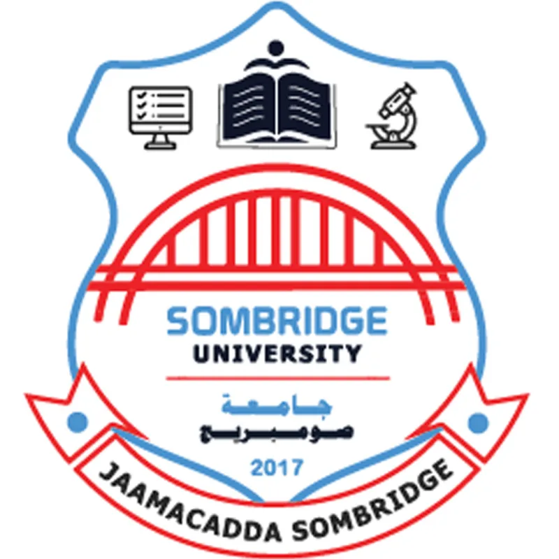 Université Sombridge Classement 2026