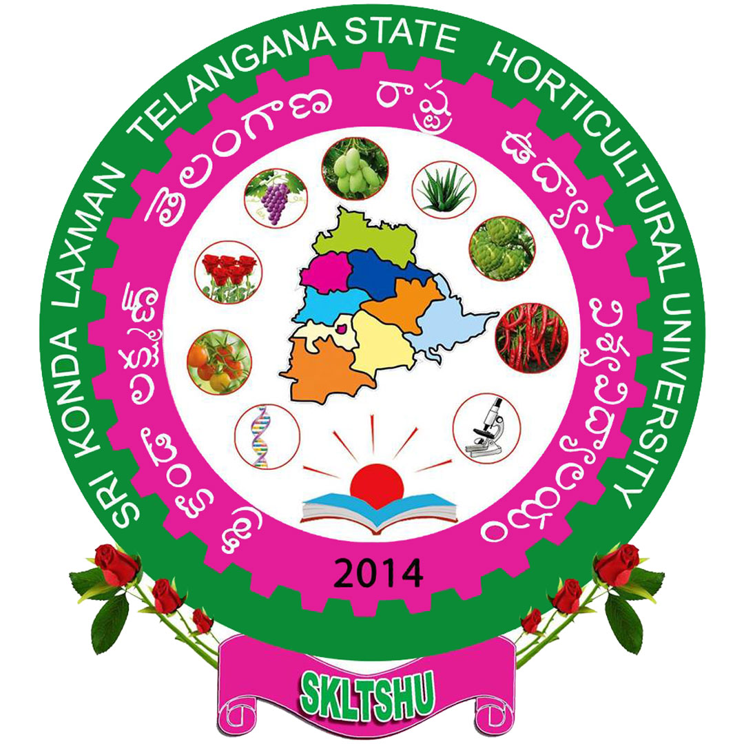 Universidad Estatal de Horticultura Sri Konda Laxman Telangana Clasificación 2025 Universidad Estatal de Horticultura Sri Konda Laxman Telangana Clasificación 2025