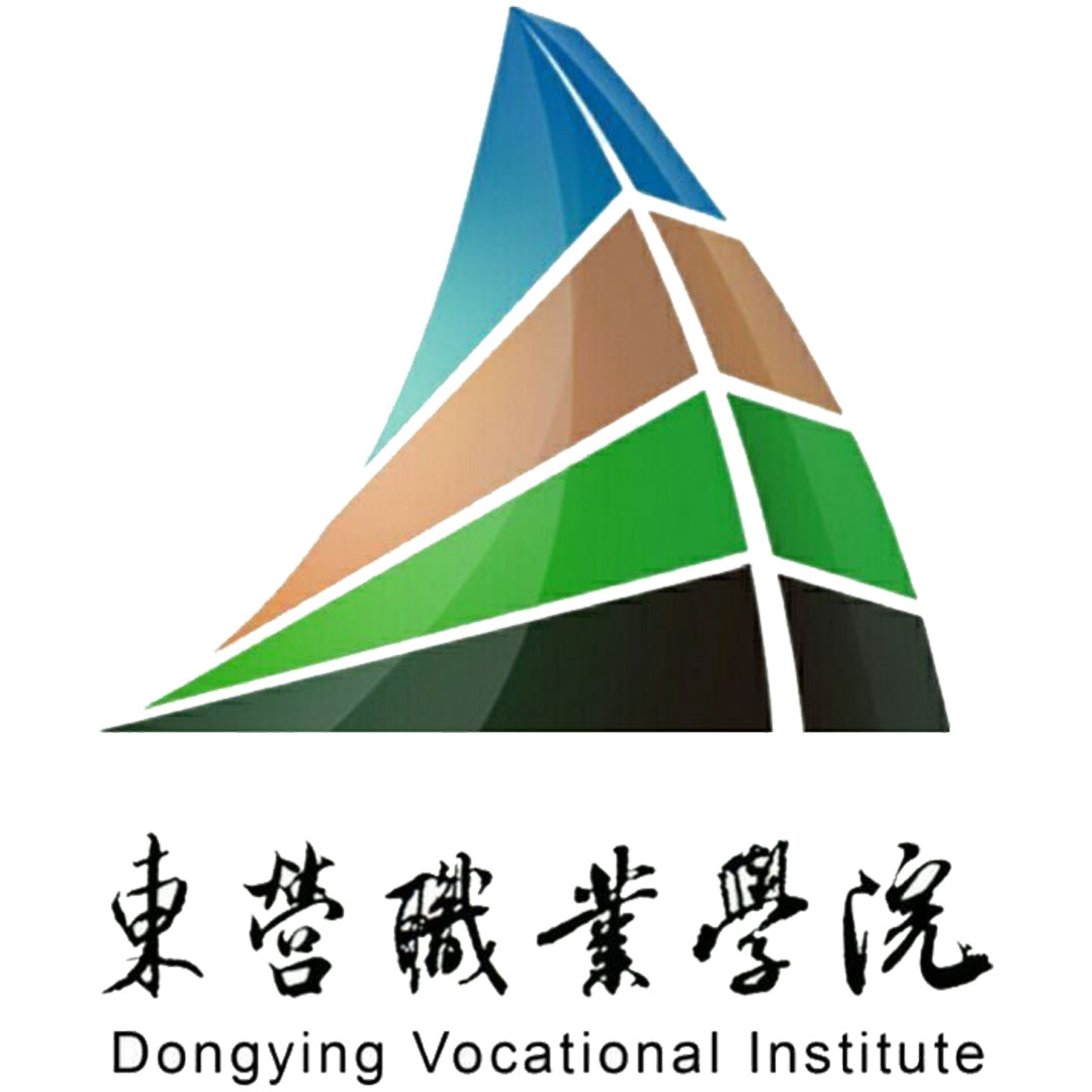 Instituto Vocacional de Dongying Clasificación 2025