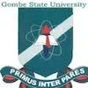 Universidad Estatal de Gombe Gombe Clasificación 2026
