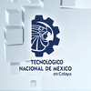 Instituto Tecnológico de Celaya Clasificación 2025