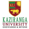 Universidad Kaziranga Clasificación 2025