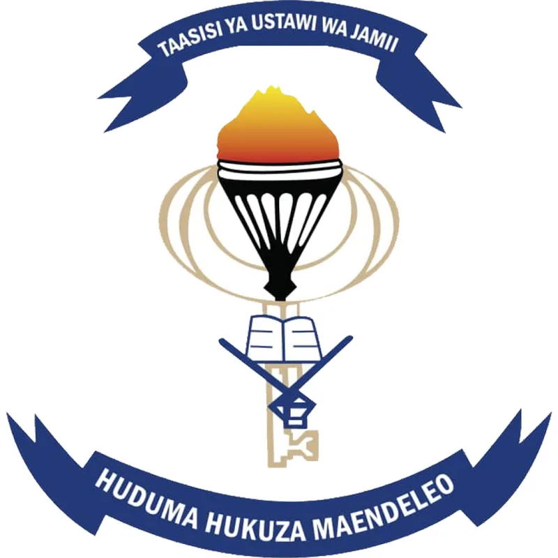 Institut de travail social de Dar es Salaam Classement 2026