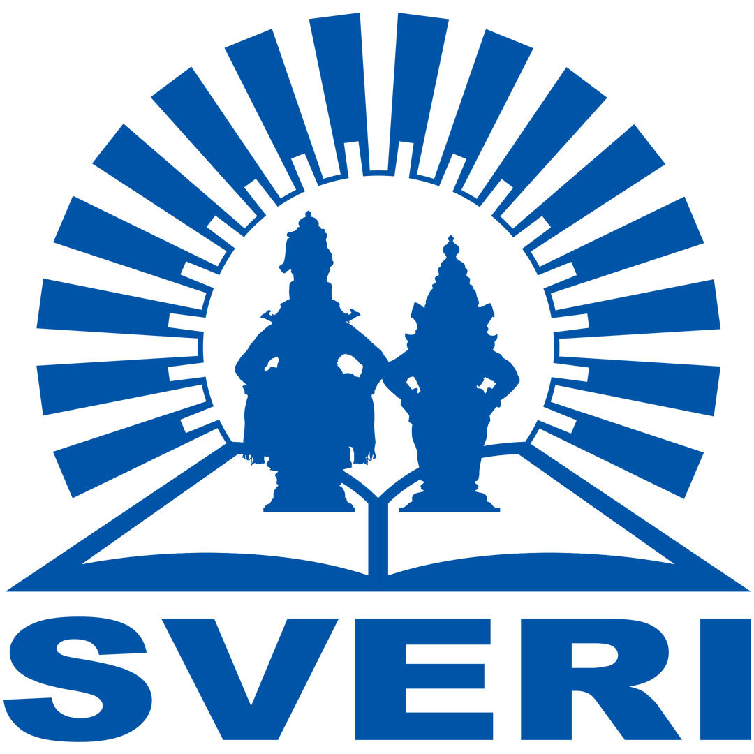 Instituto Shri Vithal de Educación e Investigación Pandharpur Clasificación 2025