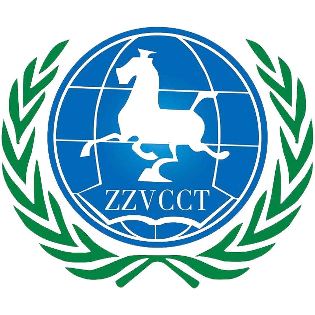 Colegio Vocacional de Negocios y Turismo de Zhengzhou Clasificación 2025