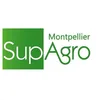 Institut Nacional de Estudios Superiores Agronómicos de Montpellier Clasificación 2026