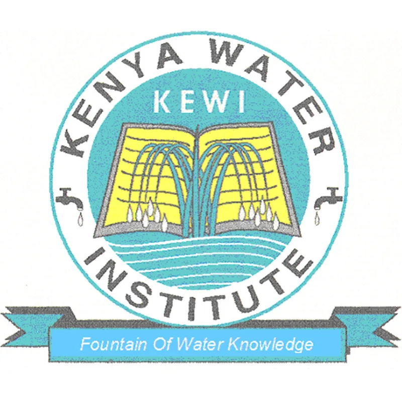 Instituto del Agua de Kenia South C Nairobi Clasificación 2026