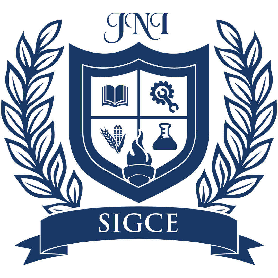 Facultad de Ingeniería Smt Indira Gandhi Clasificación 2025