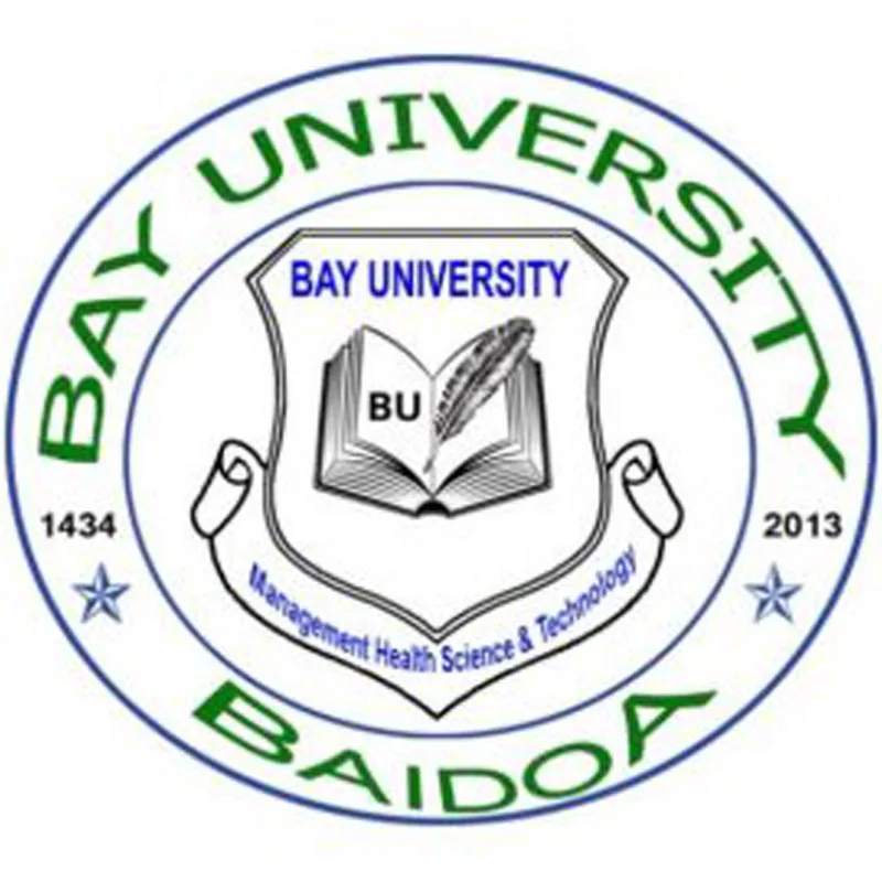 Université Bay Classement 2026