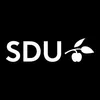 University of Southern Denmark Ranking 2026