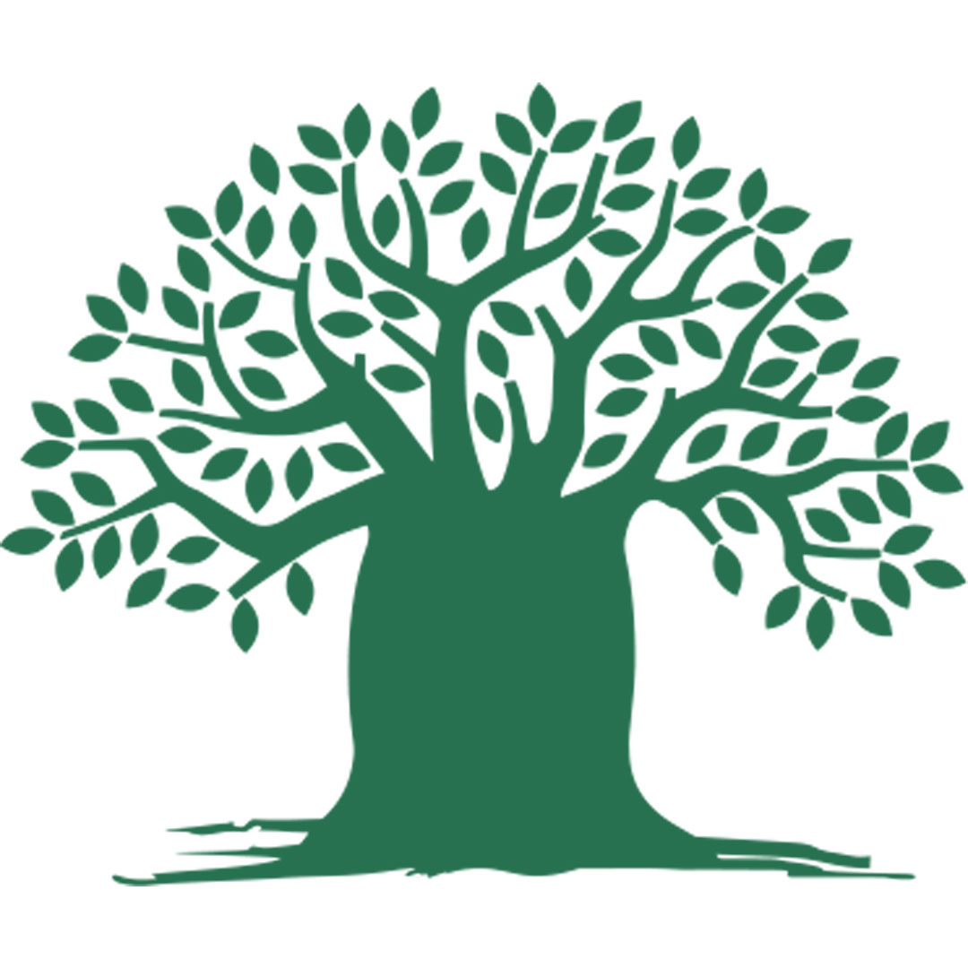 Academia Internacional de Reflexología y Terapia de Meridianos Clasificación 2025