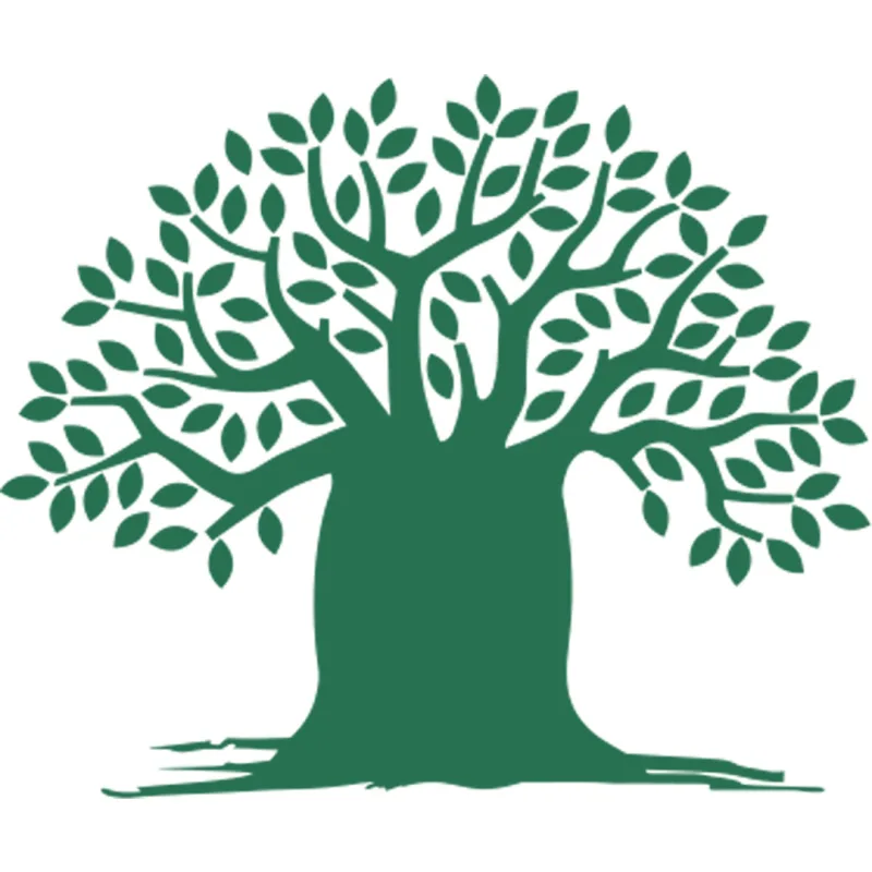 Academia Internacional de Reflexología y Terapia de Meridianos Clasificación 2026