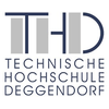 Universidad Técnica de Deggendorf Clasificación 2025