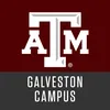 Texas A&M University Galveston Classement 2026