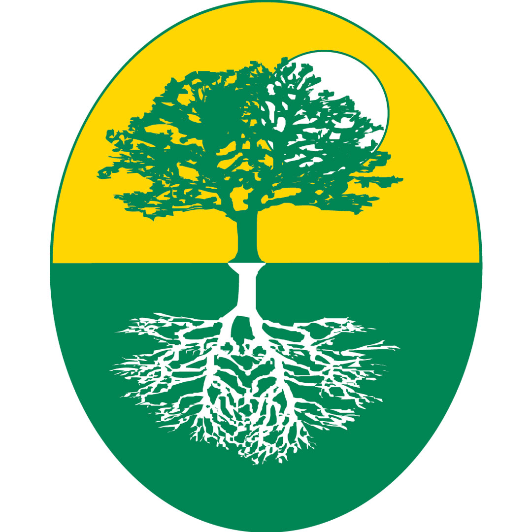 Escuela de Negocios Regenesys Clasificación 2025 Escuela de Negocios Regenesys Clasificación 2025