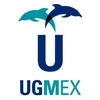 Университет Мексиканского залива UGMEX Рейтинг 2026